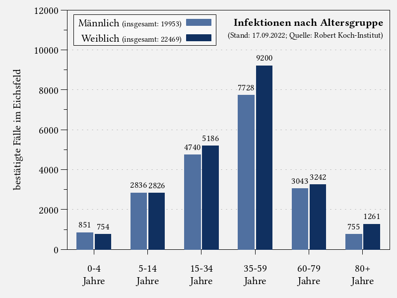 Infektionen nach Altersgruppe im Eichsfeld